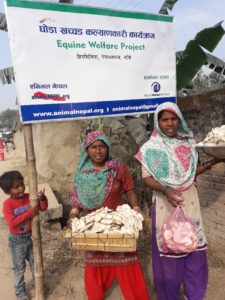 Nepal Women Equine Welfare Sign