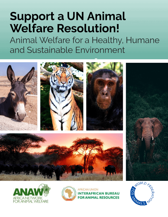 ANAW and WFA lead global initiative for adoption of UN Animal Welfare  Resolution - World Federation for Animals