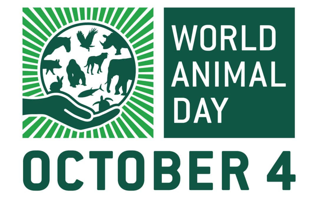 The case for an international day to recognise animals