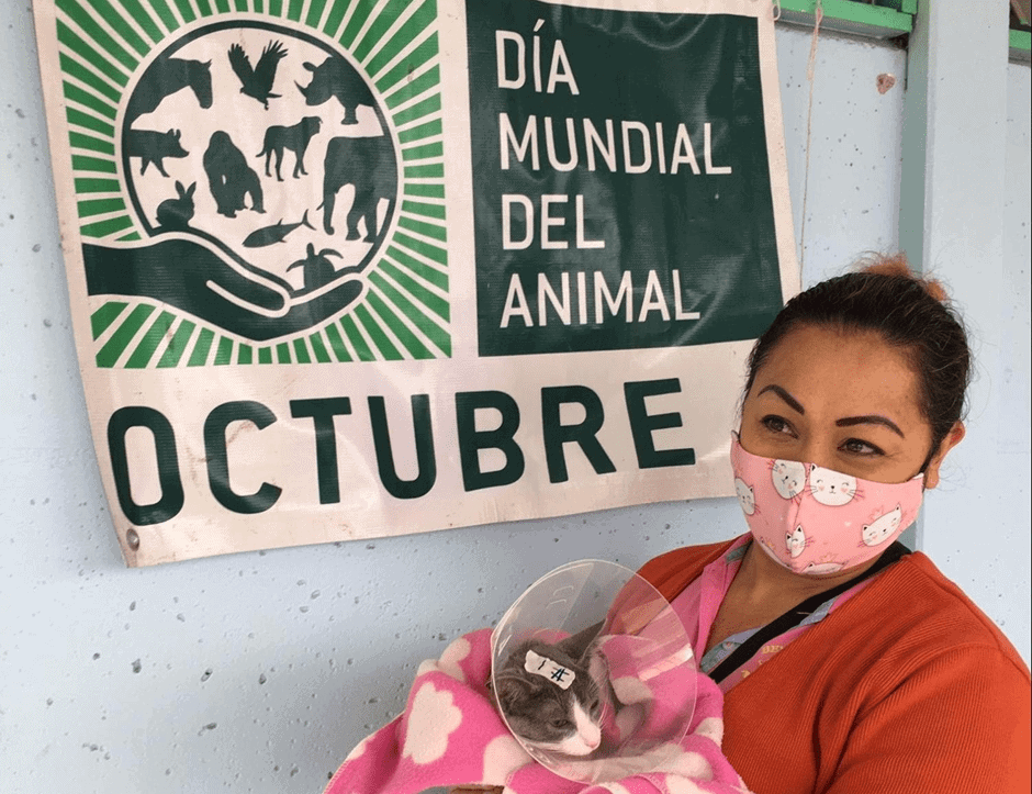 dia mundial del animal