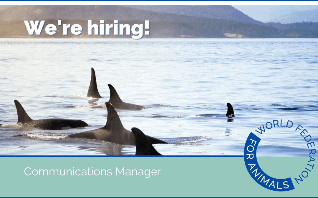Exciting opportunity to join WFA as a Communications Manager