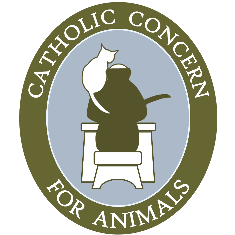 Catholic Concern For Animals