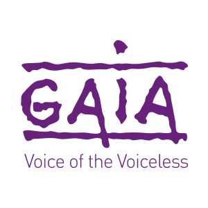 GAIA logo flag