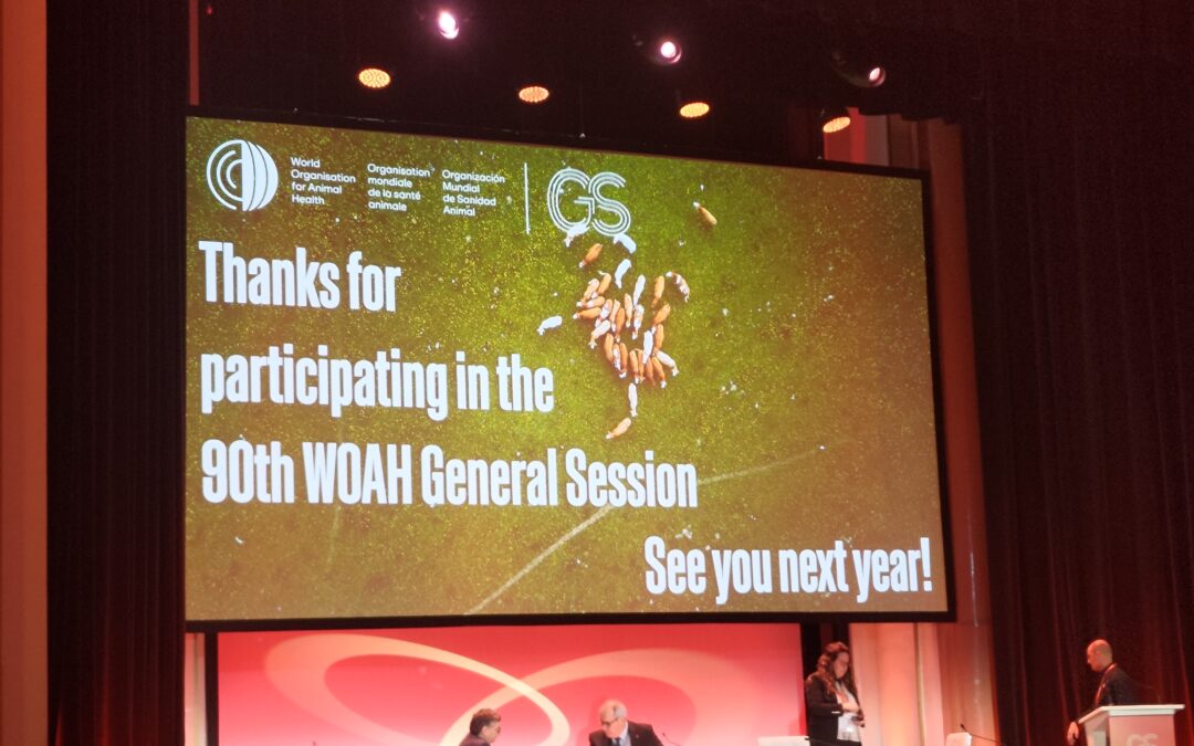 Highlights for animal advocates from the 90th general session of the World Organisation for Animal Health
