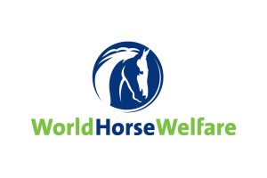 World Horse Welfare