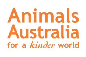 New Kinder AA logo