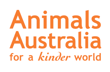 New Kinder Aa Logo
