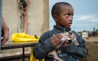 Protection from violence against animals is now explicitly part of child rights