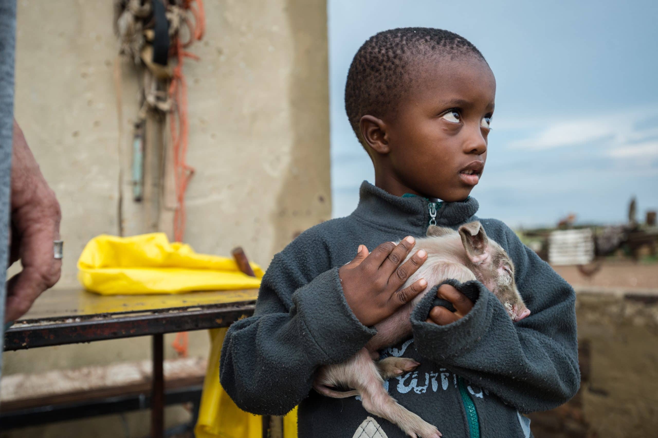 A Child In Soweto Holds An Ailing Piglet, Who Was Rescued From The Randfontein Municipal Dump Site. She Was Rehabilitated And Lives At A Sanctuary In Johannesburg.