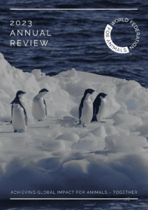 Cover Page 2023 Annual Review