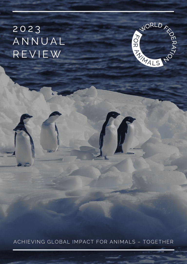 Strategy and progress – World Federation for Animals