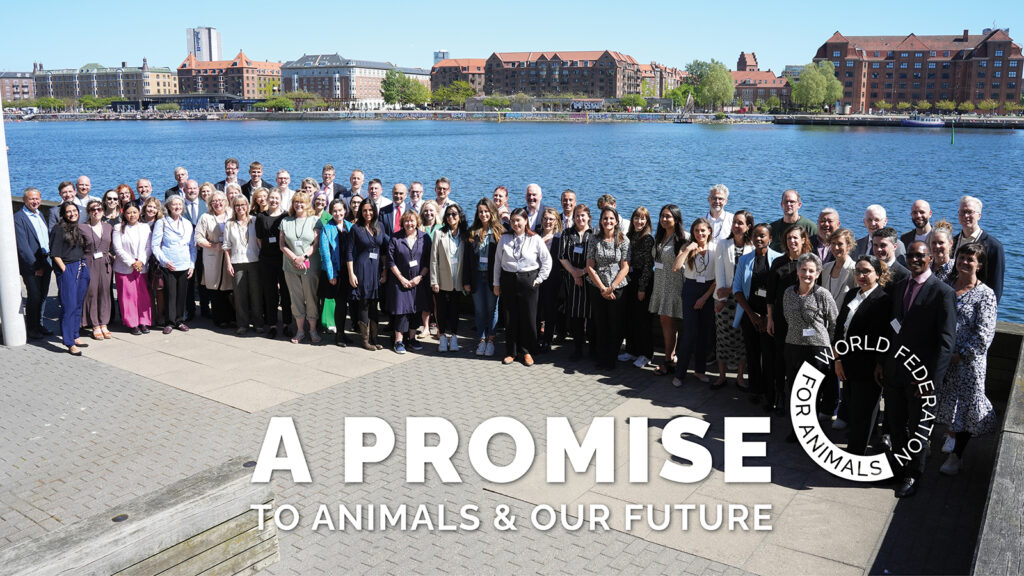 World Federation for Animals commits to elevating animal welfare in the ...