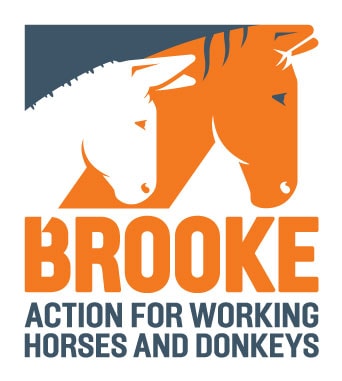 Brooke Logo Rgb