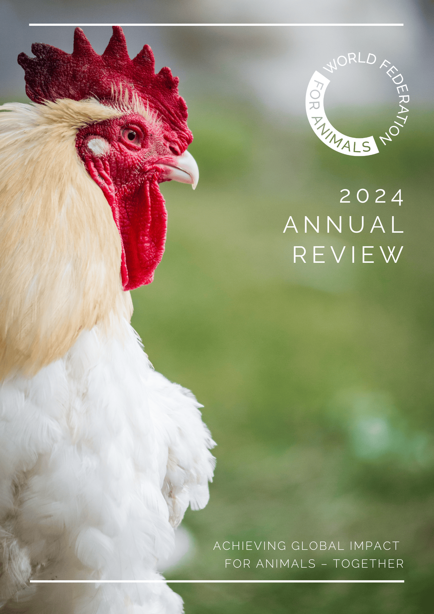 Cover page 2024 annual review