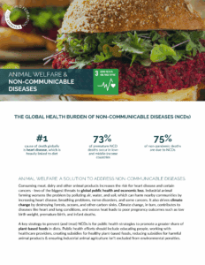 Fact sheet #3 noncommunicable diseases