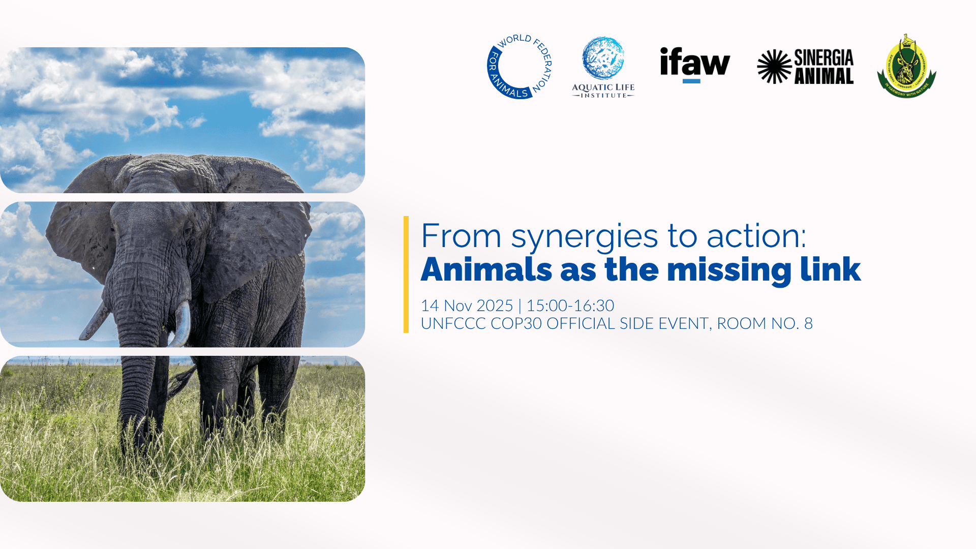 Holding slide ver Official side event vertical (3)