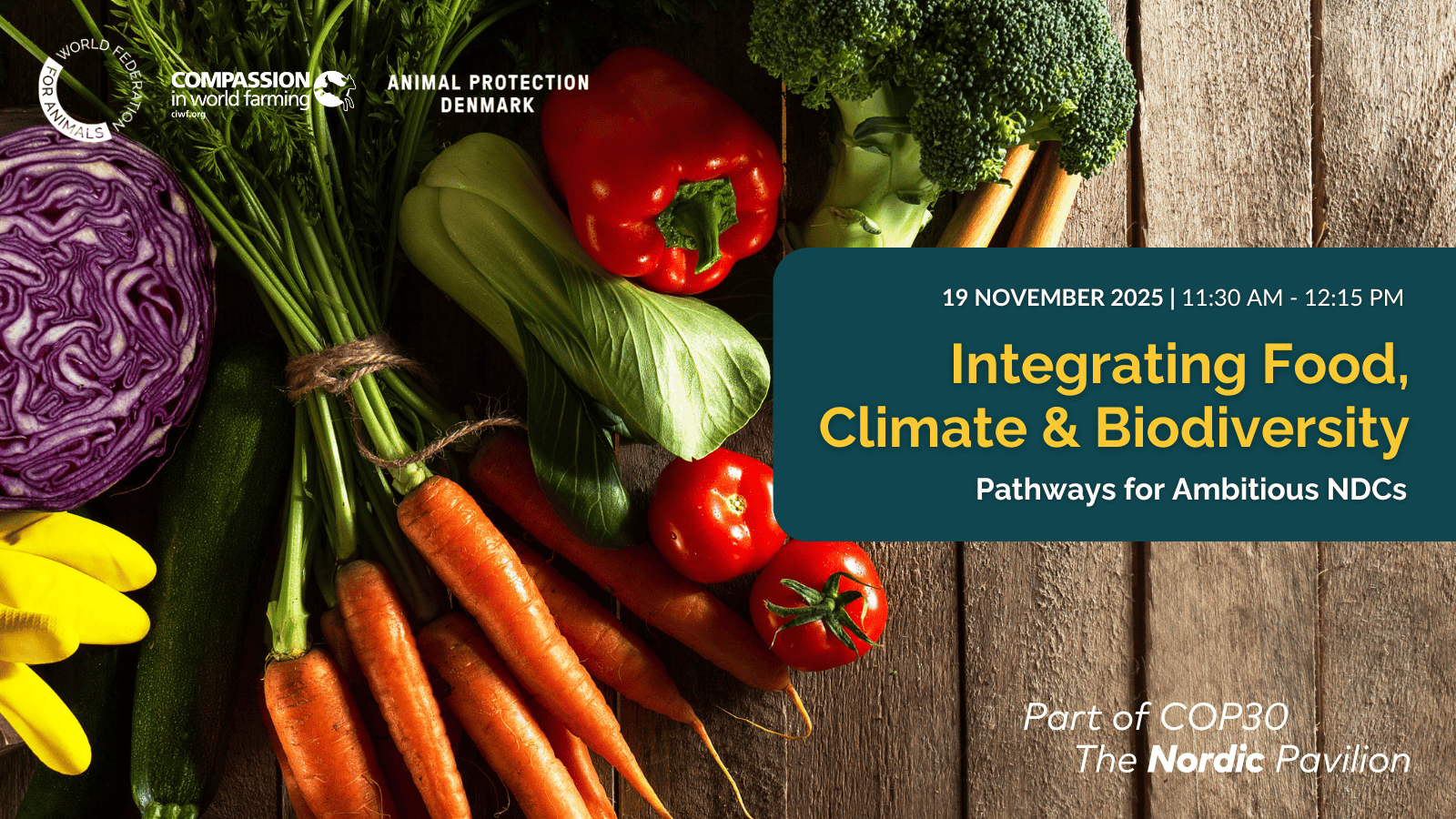 Nordic Side Event Flyer