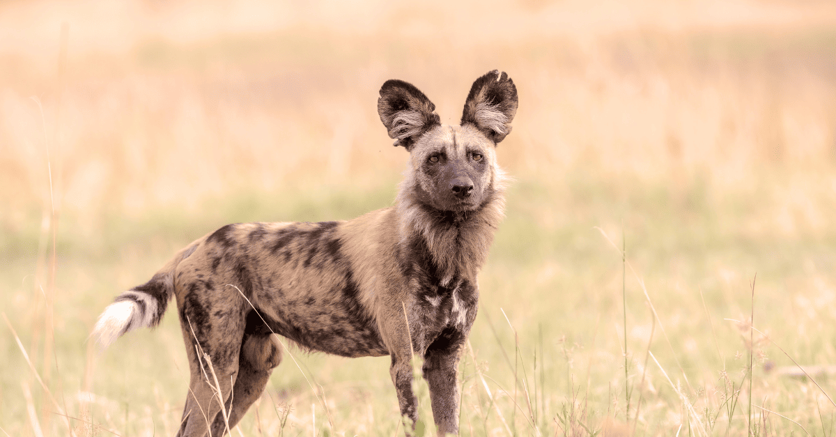 Website blog header (1)