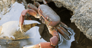 Website blog header (1)