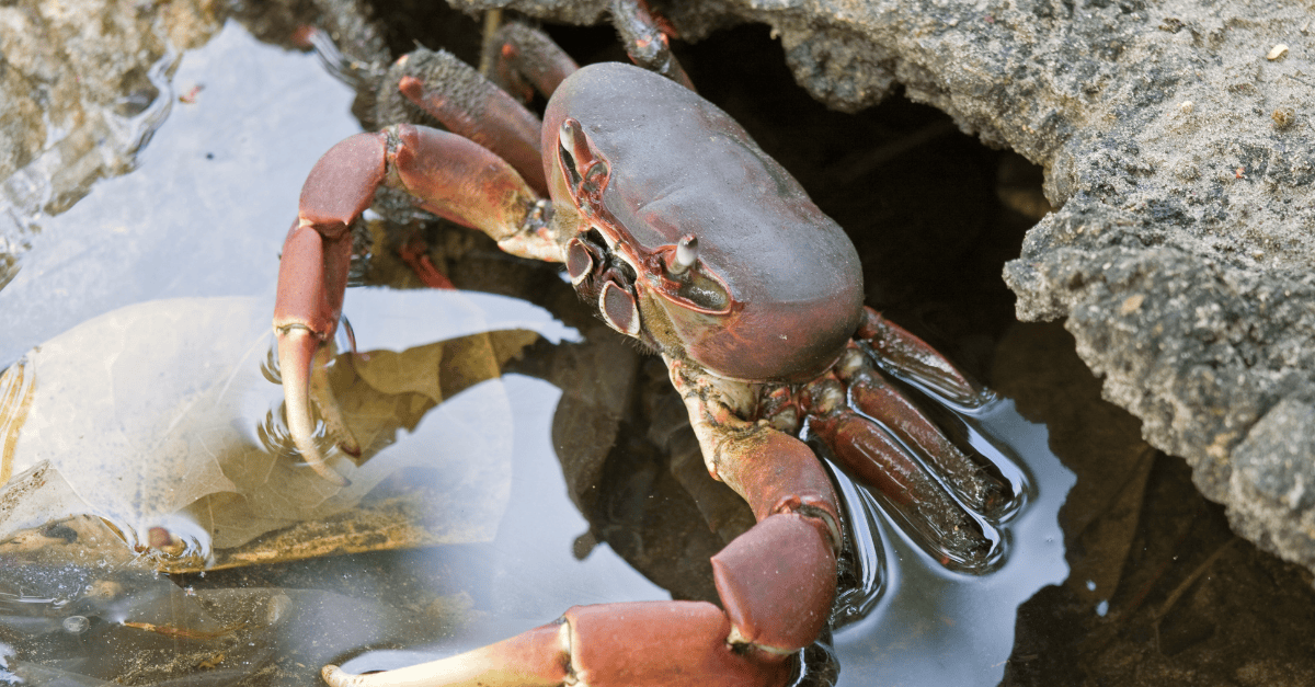 Website blog header (1)