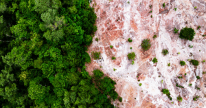 Website blog header (1)