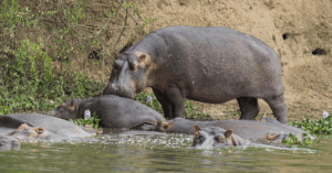 Website blog header (1)