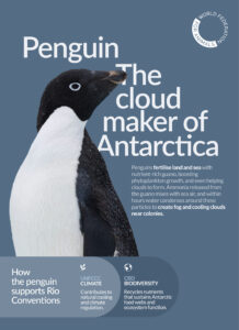 WFA COP30 Penguin v2