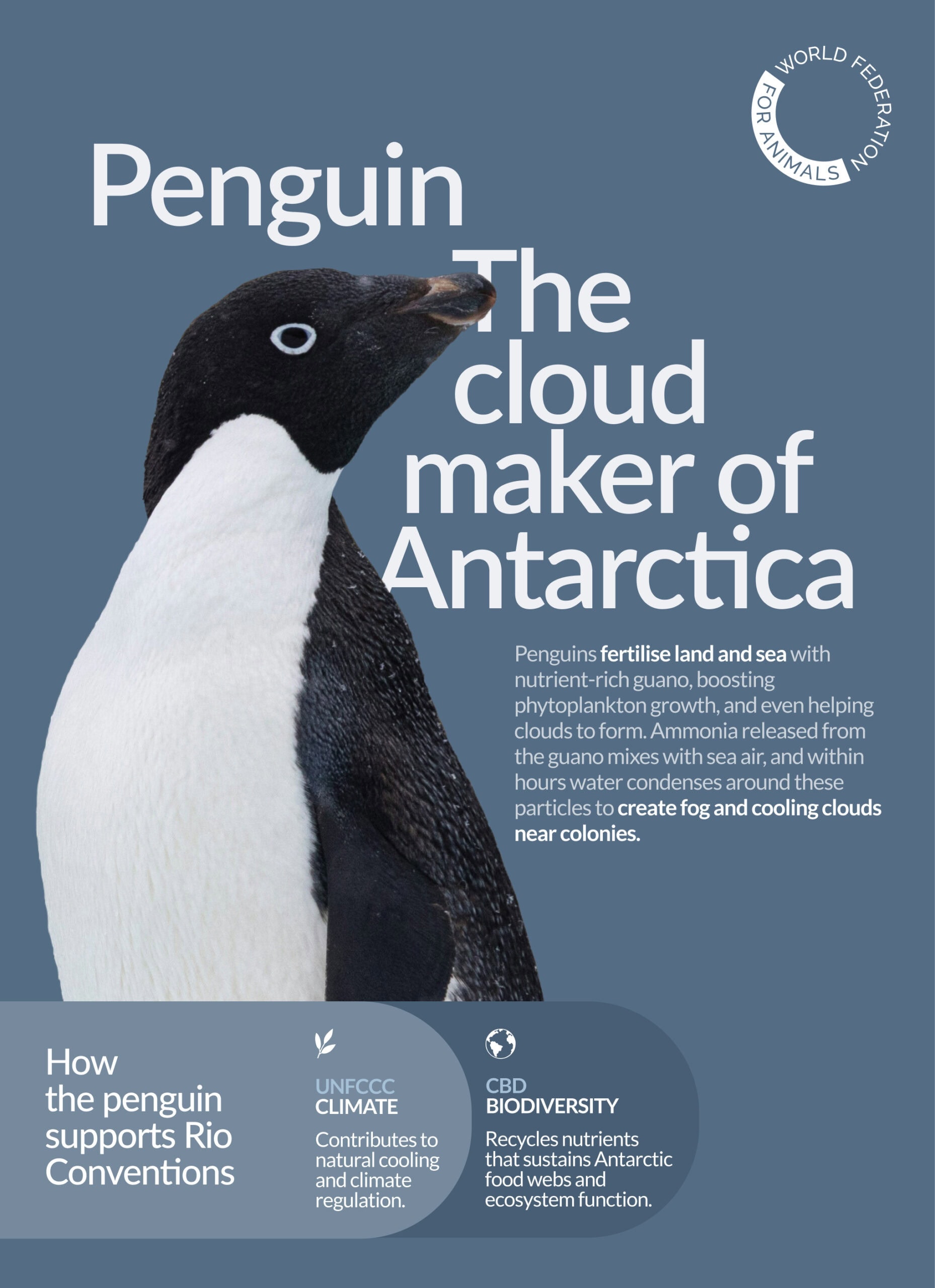 WFA COP30 Penguin v2