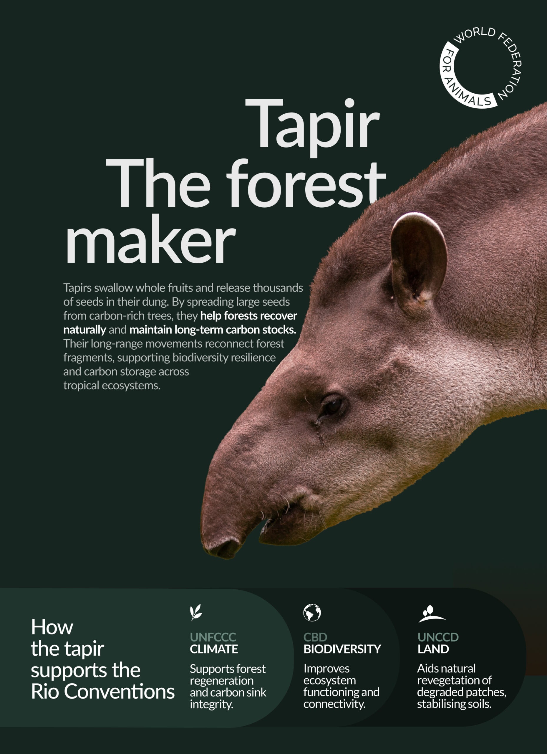 WFA COP30 Tapir
