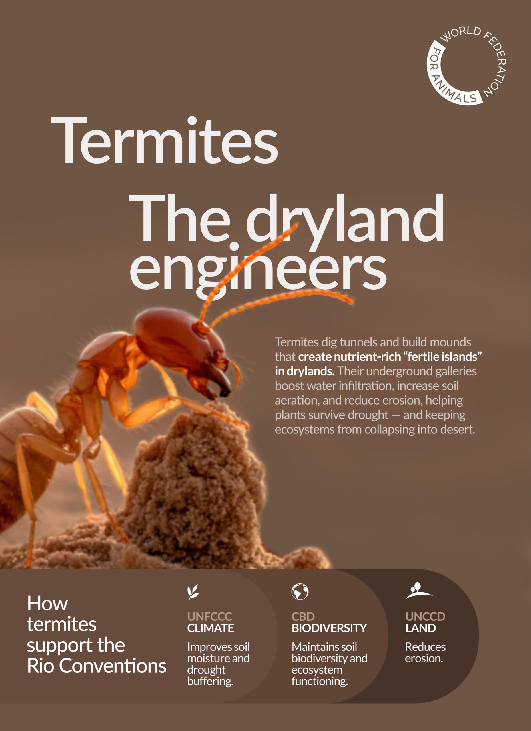 WFA COP30 Termites v6