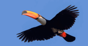 Website blog header (1)