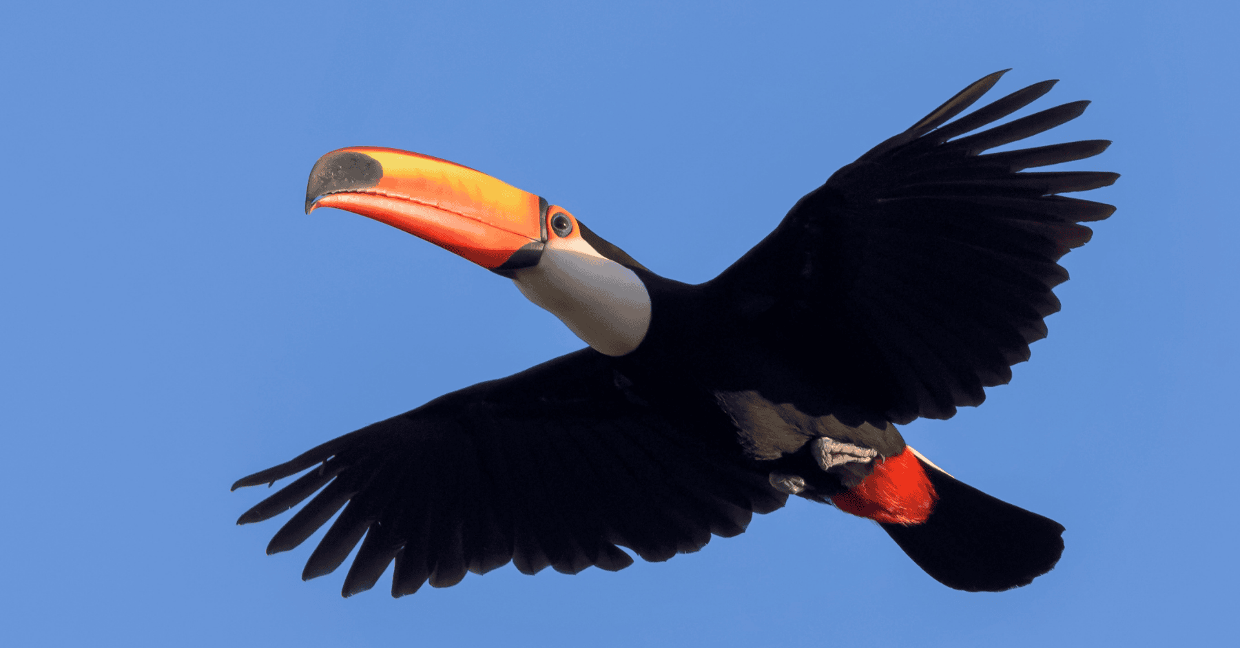 Website blog header (1)