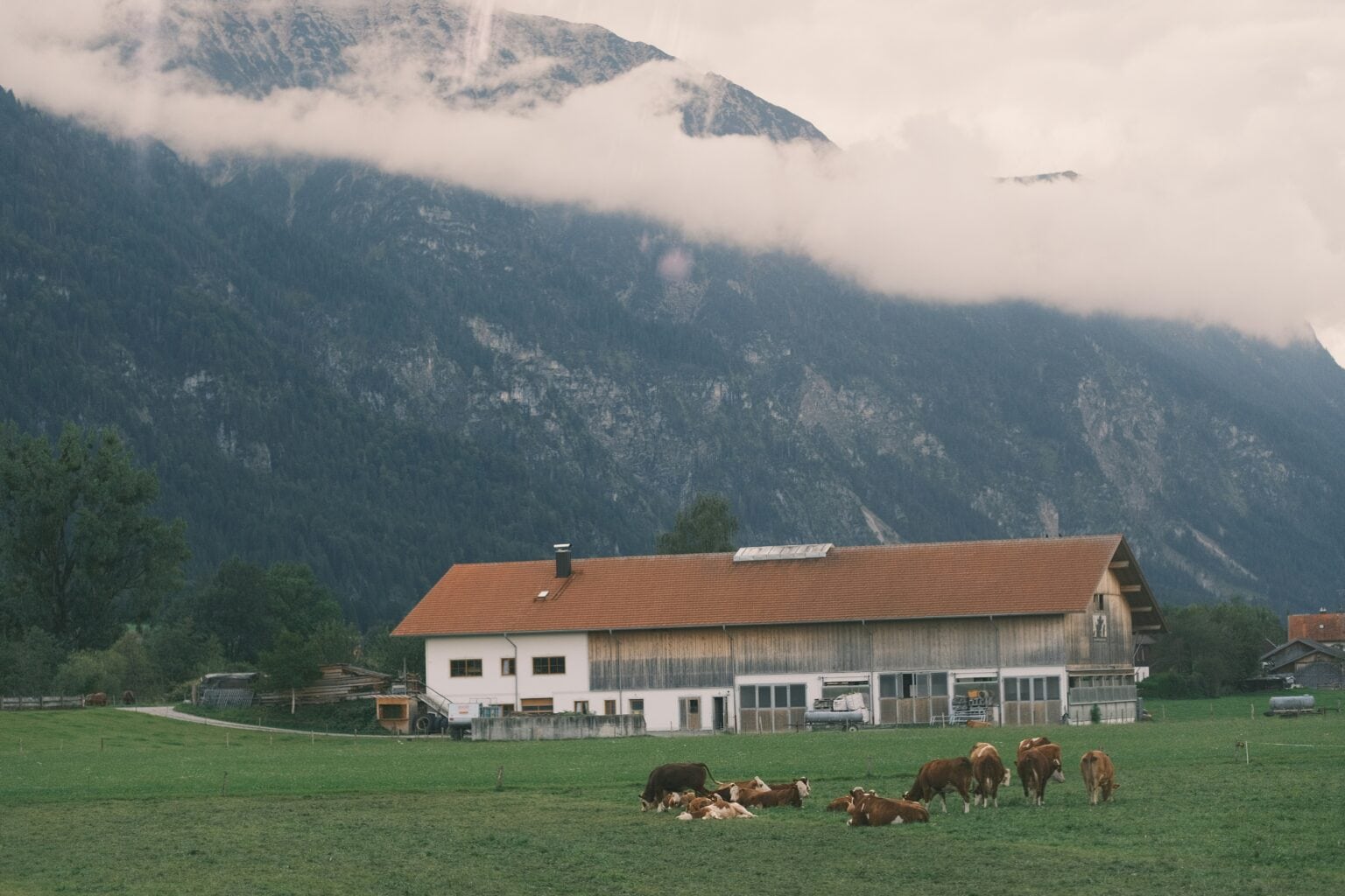 Nk ni 8s 0XB7Y4Cs unsplash 1536x1024