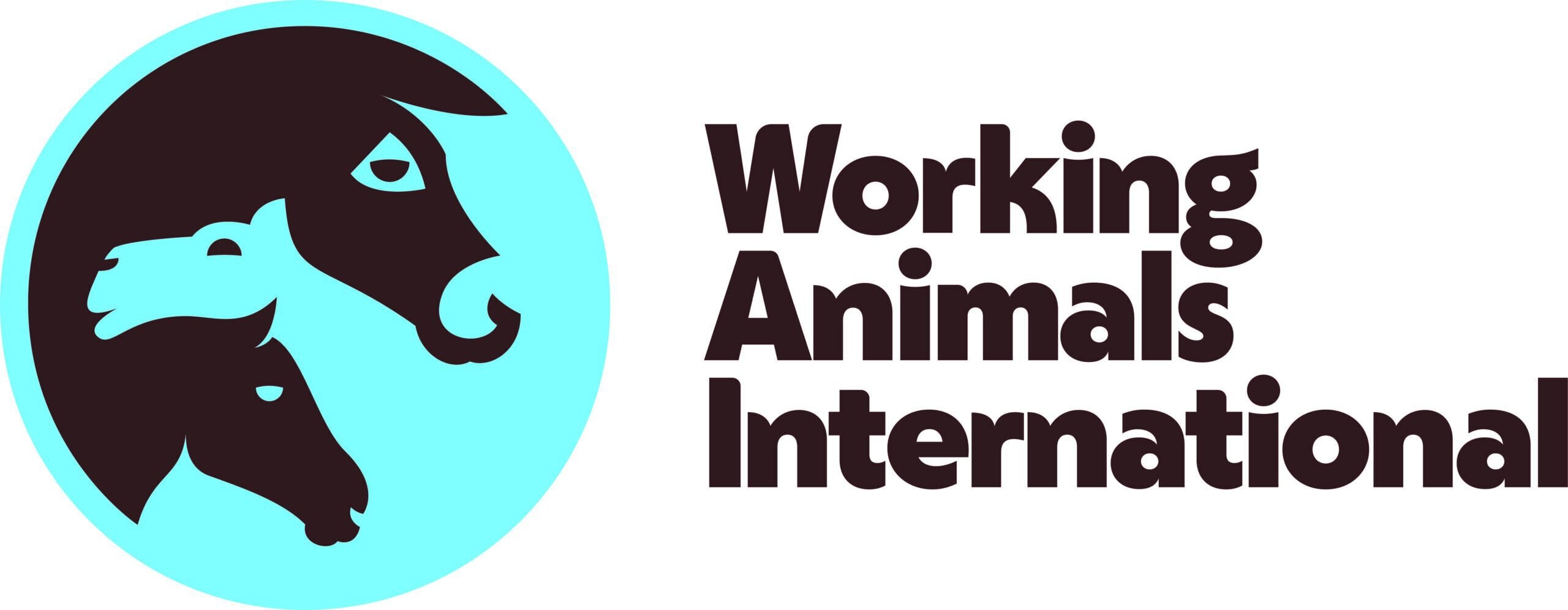 WAI Logo Horizontal EarthText CMYK