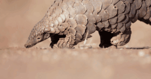 Website blog header (2)