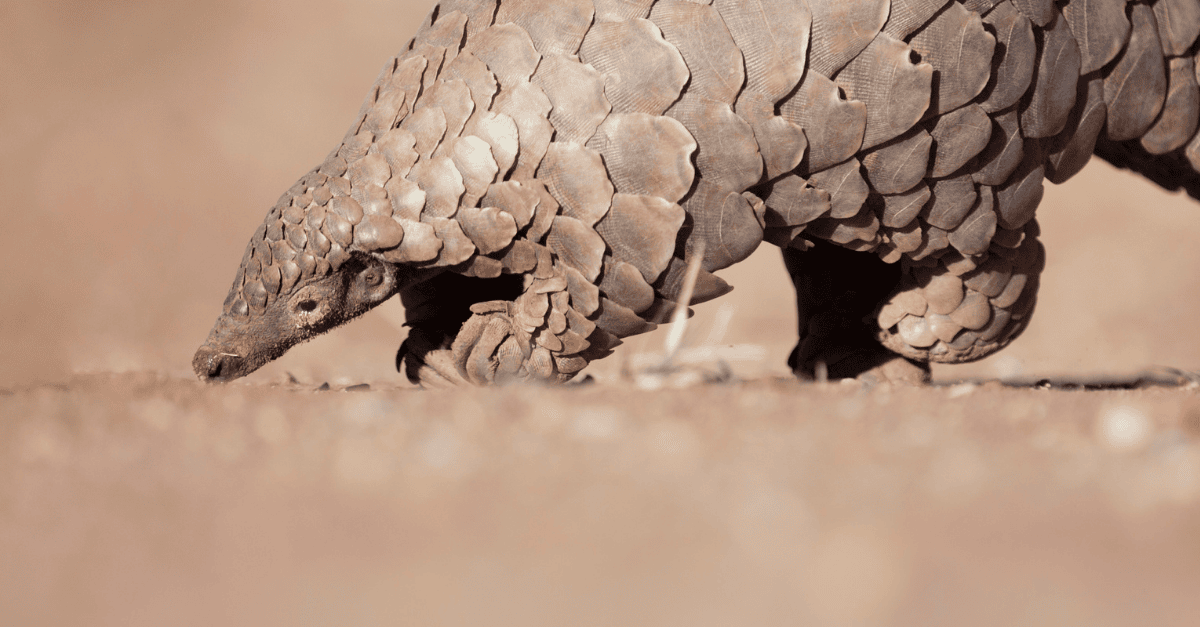 Website blog header (2)