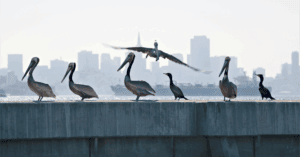 Website blog header