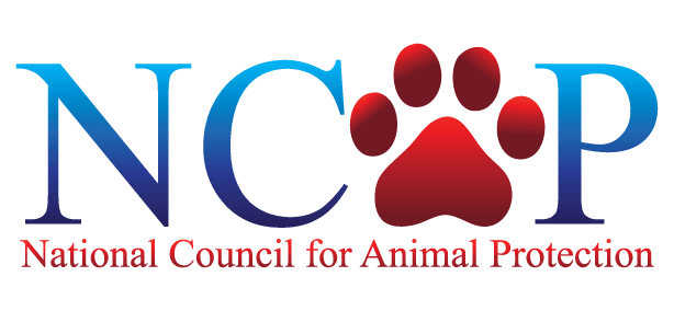 NCAP logo