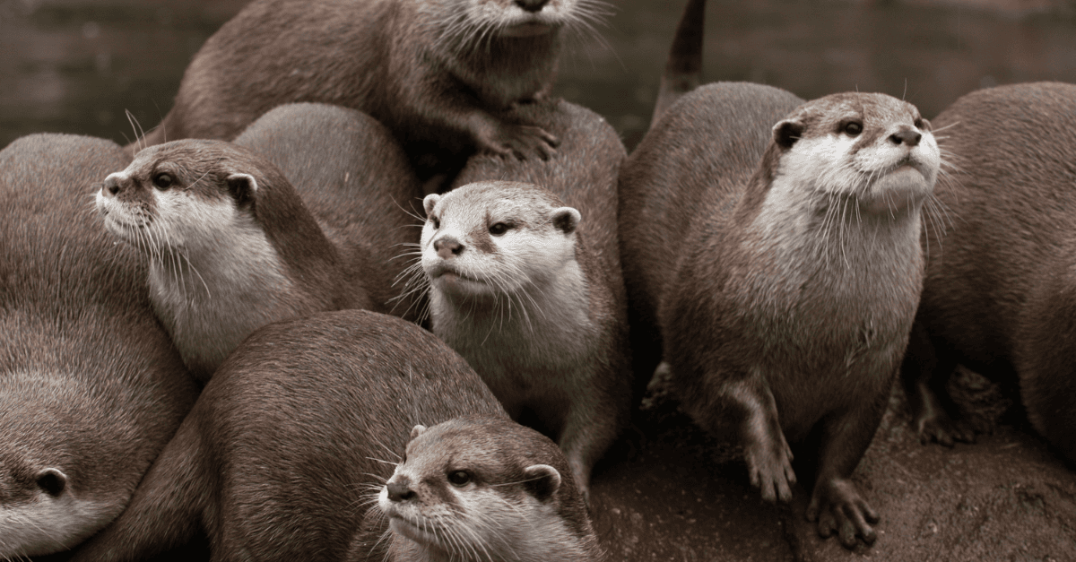Website blog header