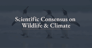 Website blog header