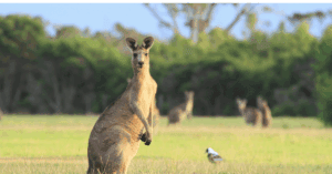Website blog header