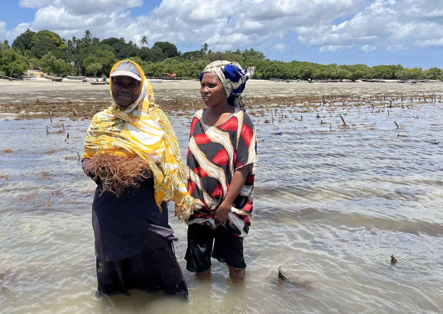 Ethical Seafood Research