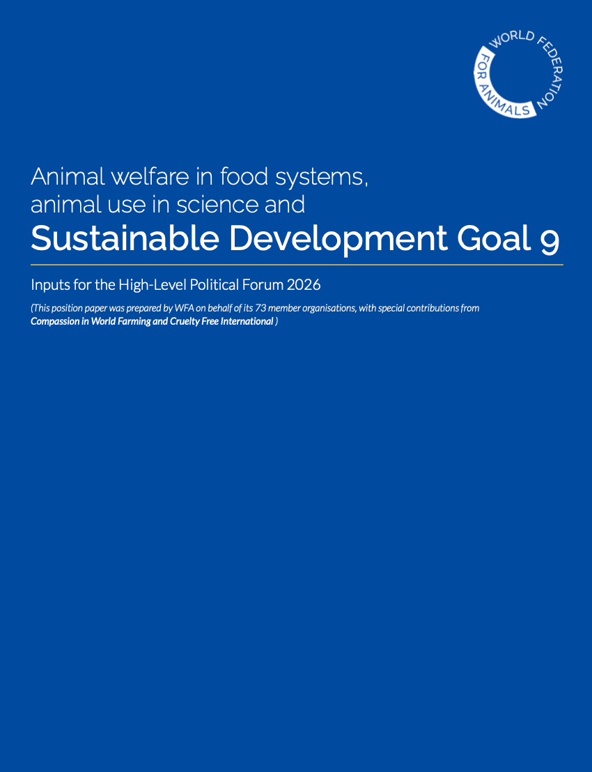 SDG9