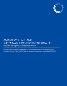 SDG11