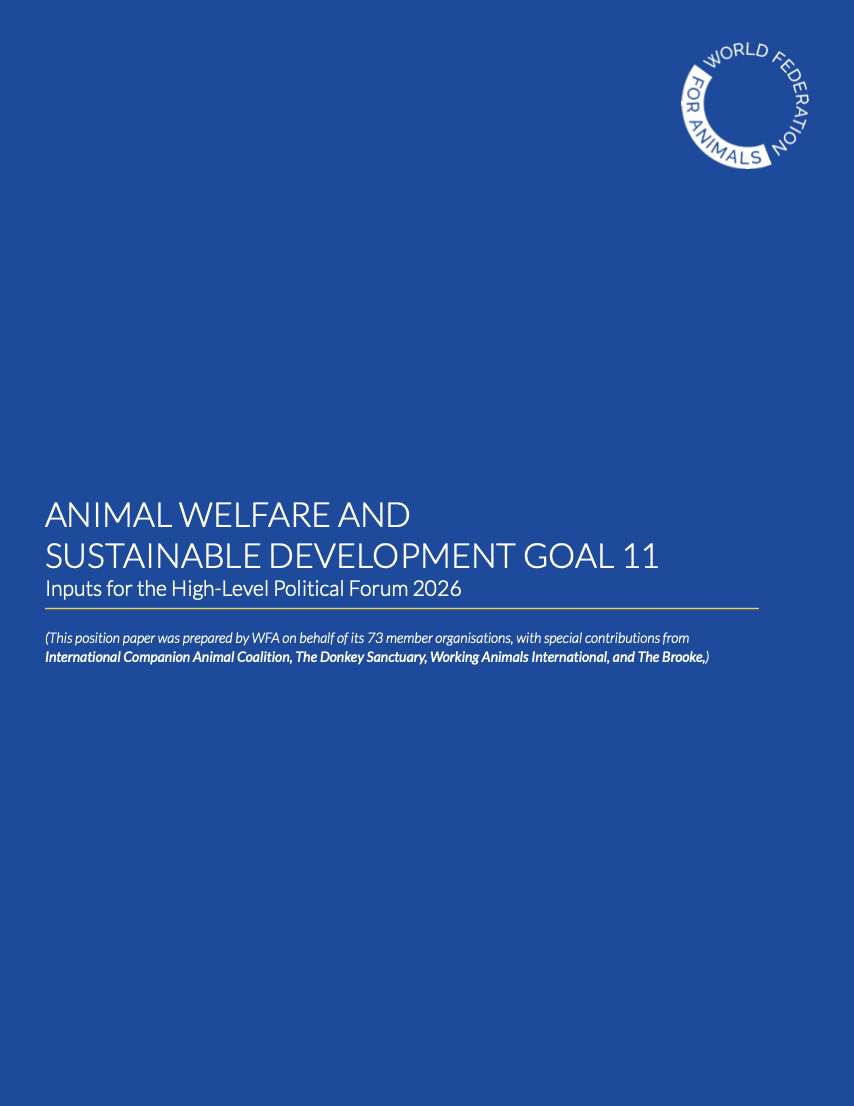 SDG11