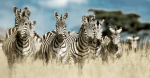 Website blog header (1)