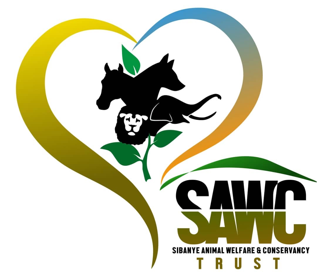 SAWCT Sibanye Logo
