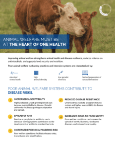 One Health factsheet