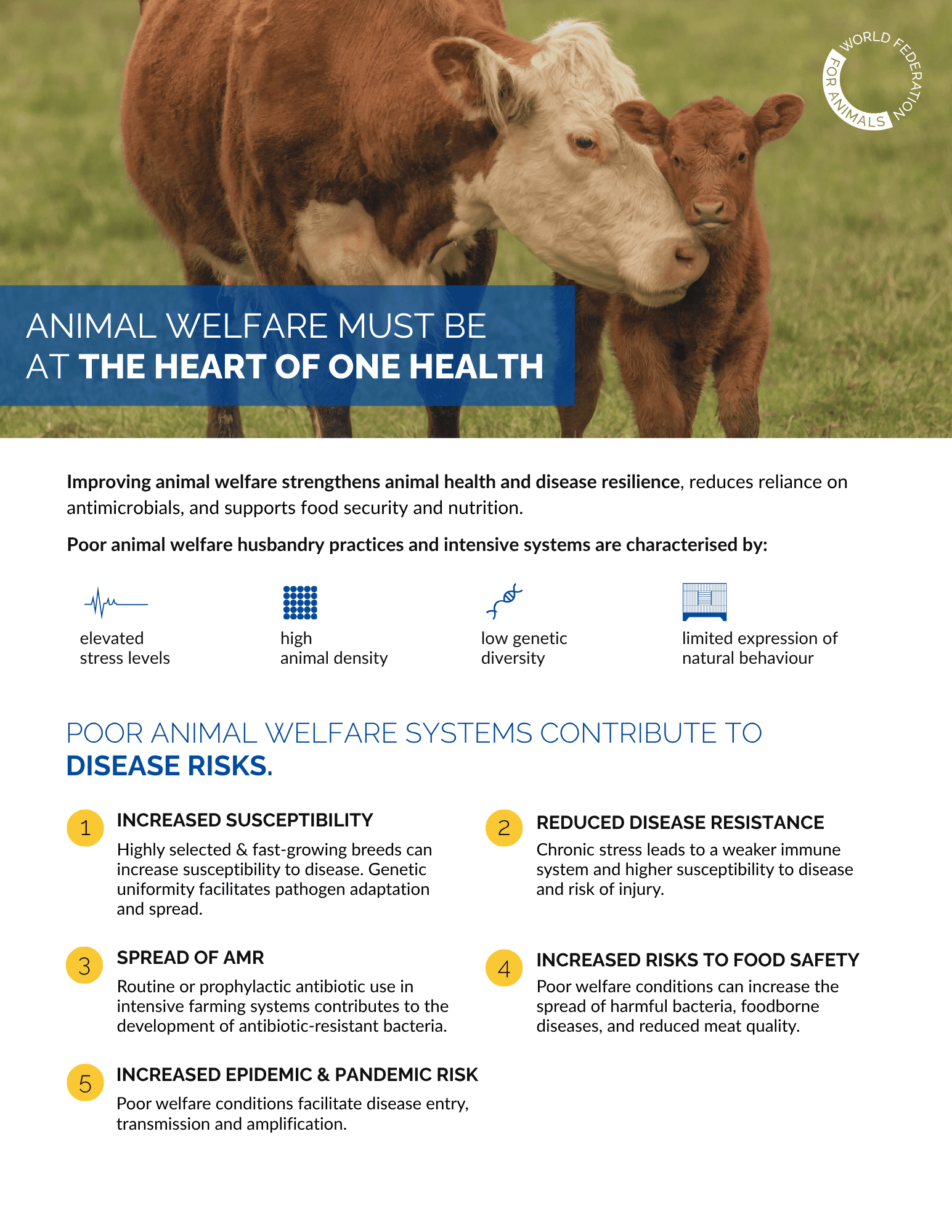 One Health factsheet