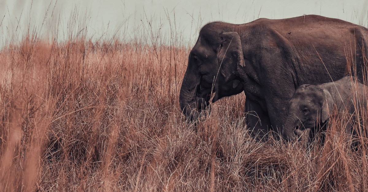 Website blog header (1)